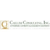 CAELUM CONSULTING