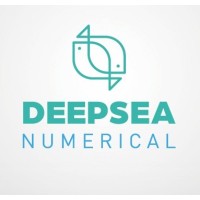 DeepSea Numerical logo - Similar company to Up2Smart