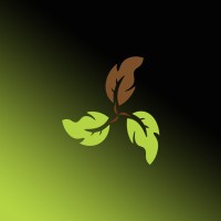 Euphoria Organix logo - Similar company to Spike Systems Ltd