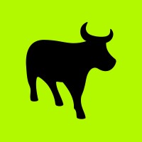 Flash Group logo - Similar company to Ozow