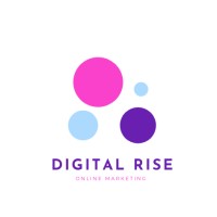 Digital Rise Peshawar logo - Similar company to Skyline Academic