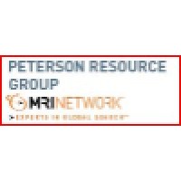 Peterson | Moore Executive Search & Interim IT Management logo - Similar company to Management Search Group