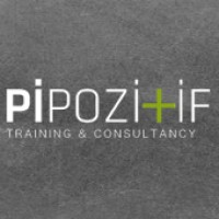 Pi Pozitif Trainning & Consultancy logo - Similar company to Arleo Danışmanlık