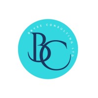 Bryse Consulting Ltd logo - Similar company to Data Immersion Hub