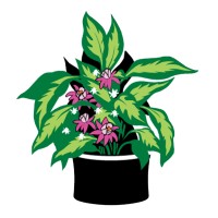 Smart Pot logo - Similar company to Nexus Cube