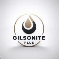 Gilsonite: The Black Gold Of Industry logo - Similar company to Soldaco