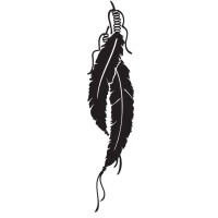 Native Warrior Construction Inc logo - Similar company to Caulfield & Wheeler, Inc. (Cwi)