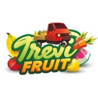 Trevi Srl logo - Similar company to Cape Trieste Srl