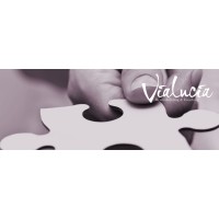ViaLucia logo - Similar company to Masis Cbm B.V.