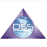 DSS Informática logo - Similar company to Entremeios