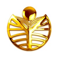 Rao's Educational Institutions logo - Similar company to Robomonnk