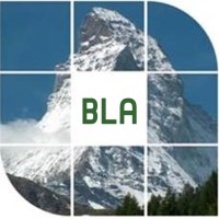 Boucher-Lensch Associates LLC logo - Similar company to Capstone Financial Group
