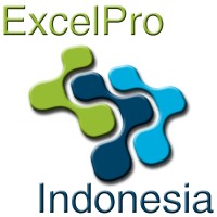 ExcelPro Indonesia logo - Similar company to Flip-Tech Inc