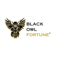 Black Owl Fortune logo - Similar company to Acad Ai