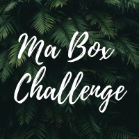 Ma Box Challenge logo - Similar company to Everlink Services