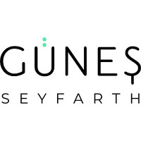 Günes Seyfarth – Speakerin | Coach | Consultant logo - Similar company to Consultant Plus GmbH