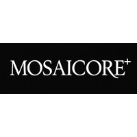Mosaicore LLC logo - Similar company to Mast Capital Advisory