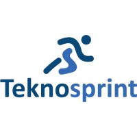 Teknosprint logo - Similar company to Chat Nexus