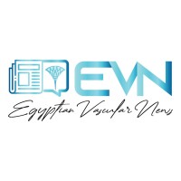 Egyptian Vascular News logo - Similar company to El-Kheir Hospital