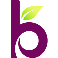 Bloom Consulting logo - Similar company to Memberleap