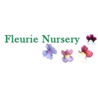 FLEURIE NURSERY LIMITED logo - Similar company to Wwoof Uk - Immersive Experiences On Organic Farms, Smallholdings, Crofts, Allotments & Gardens