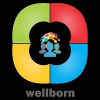Wellborn Digital Pvt. Ltd logo - Similar company to Sai Info-Tech
