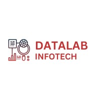 DATALAB INFOTECH logo - Similar company to Ibix Solutions