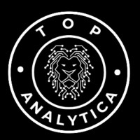 TOP Analytica logo - Similar company to Candor Software Solutions Limited