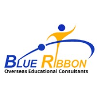 Blue Ribbon Gujarat logo - Similar company to Infotax Group