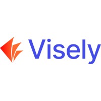 Visely logo - Similar company to Ziot Solutions As