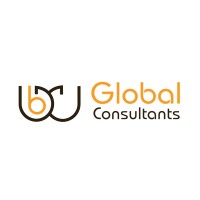 BigWig  Global Consultants logo - Similar company to Stop Fire Protection