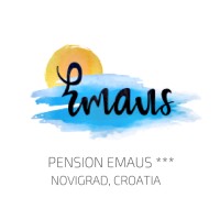 EMAUS logo - Similar company to Ess'Team