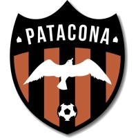 Patacona CF logo - Similar company to Molcaworld