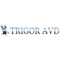 Trigor AVD logo - Similar company to Pr