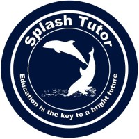 splashtutor logo - Similar company to Kahvay Ltd.