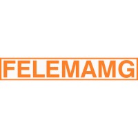 FELEMAMG,SL logo - Similar company to Exmain, S.A.