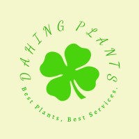 DaHing Plants logo - Similar company to Pafe Plants