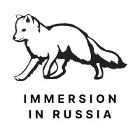 Immersion Travel logo - Similar company to Bangkok Rooftops