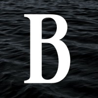 Black Rivers logo - Similar company to Cognitive Big Data Systems Inc