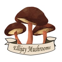 Ellijay Mushrooms logo - Similar company to Dank Mushrooms