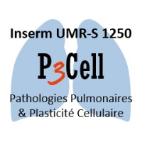 Inserm UMR-S 1250 P3Cell logo - Similar company to B3Oa