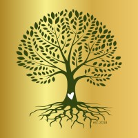 DeLuca Financial Services logo - Similar company to Midwest Cfo