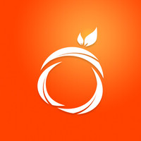 Orange Maker logo - Similar company to Ltc Advisory & Services