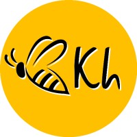 KHADIEV GAMES LTD logo - Similar company to Crazybit