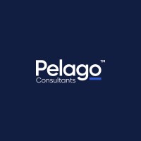 Pelago Consultants logo - Similar company to Supertools