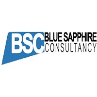 Blue Sapphire Consultancy Ltd logo - Similar company to E2E Hrc - Human Resource Consultancy