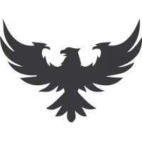 Naz E Millat Group logo - Similar company to Advisible Technologies