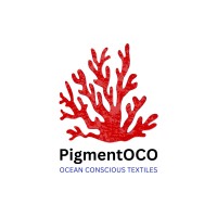 Pigmentoco logo - Similar company to Red Brick Accelerator