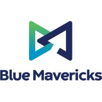 BLUEMAVERICKS.COM logo - Similar company to Cubespace