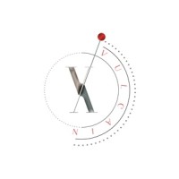 VULCAIN logo - Similar company to Vulcain